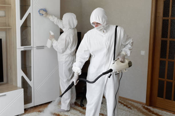 Affordable Infectious Disease Decontamination solutions in Belmont, CA